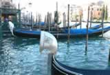Venetian Gondolas